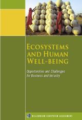 Ecosystems and Human Wellbeing - Business and Industry Synthesis
